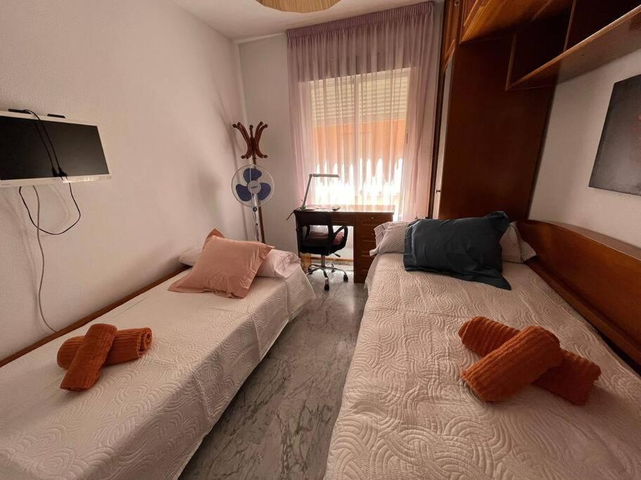 Apartamento Medina Azahara 科爾多瓦 外观 照片