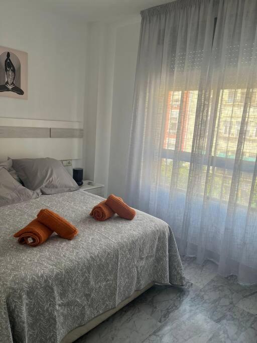 Apartamento Medina Azahara 科爾多瓦 外观 照片